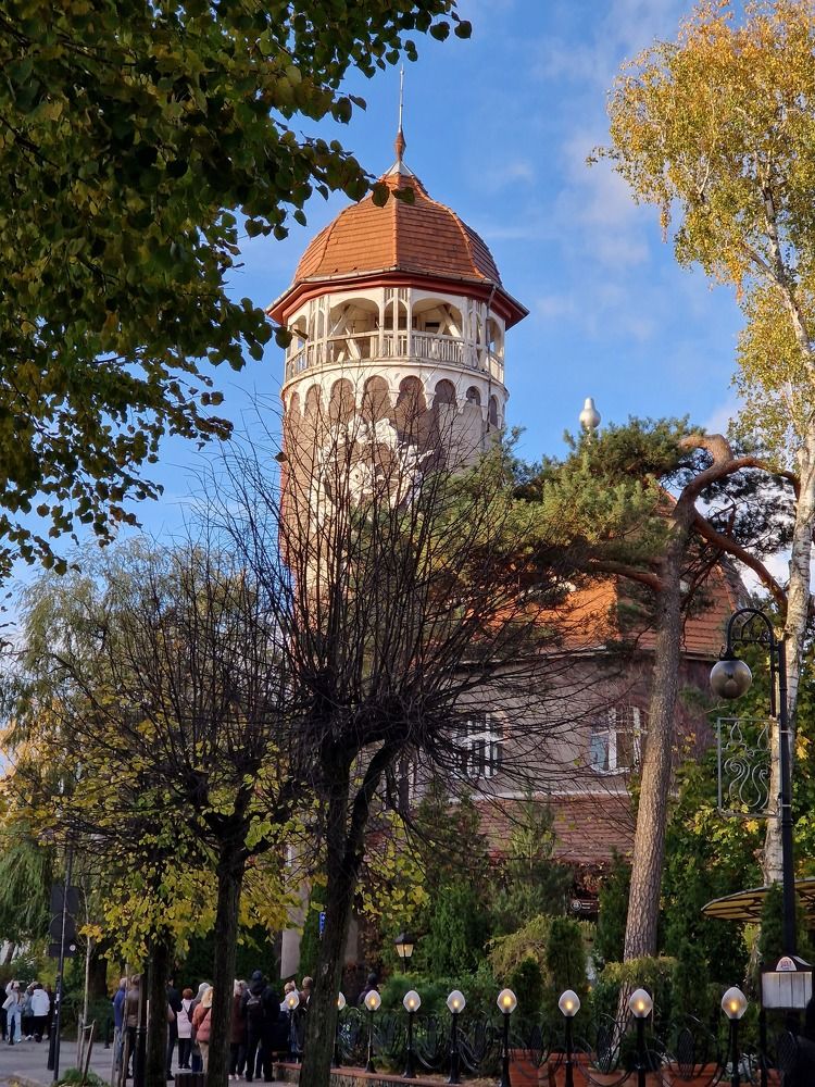 Photograph by Алена Салмина