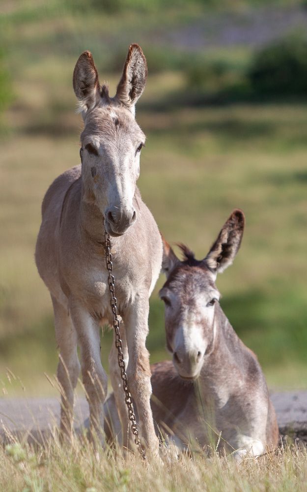 Photograph by PerfectM1nd R