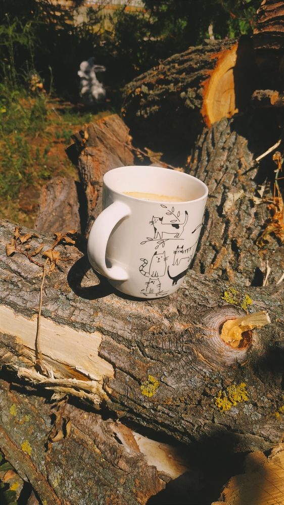 Photograph by Ирина