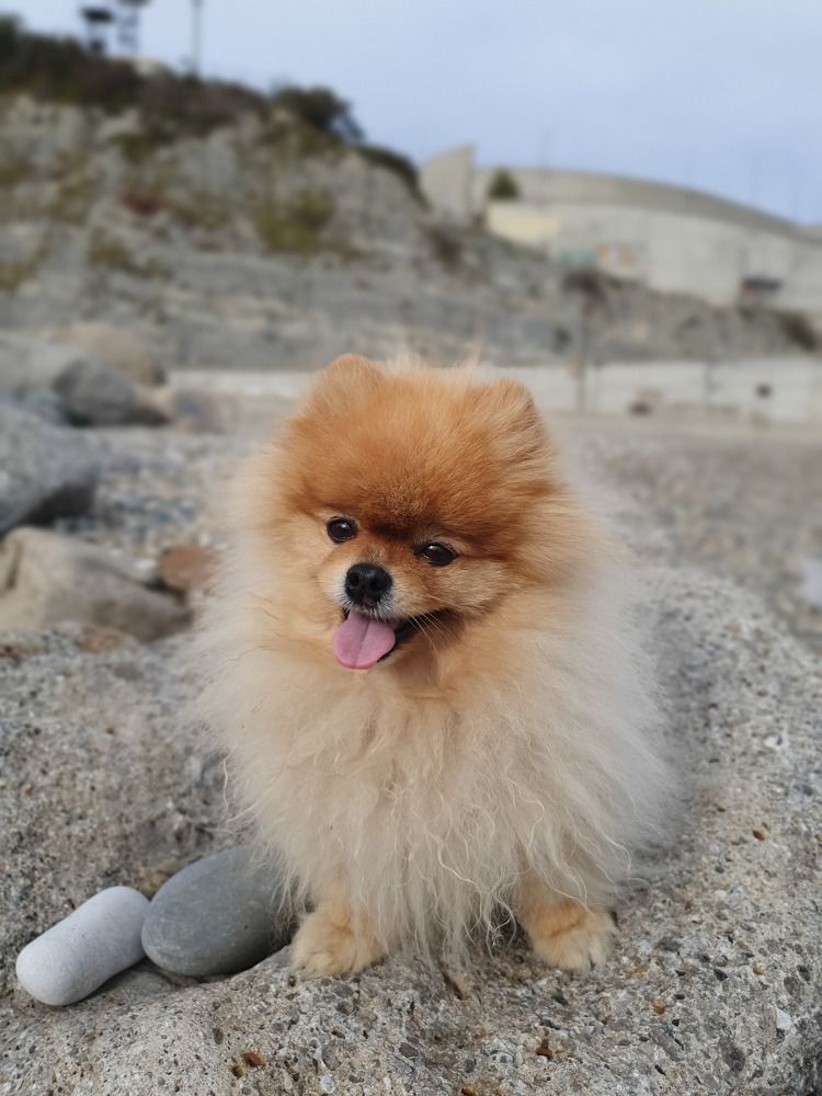 Photograph by Алена Салмина