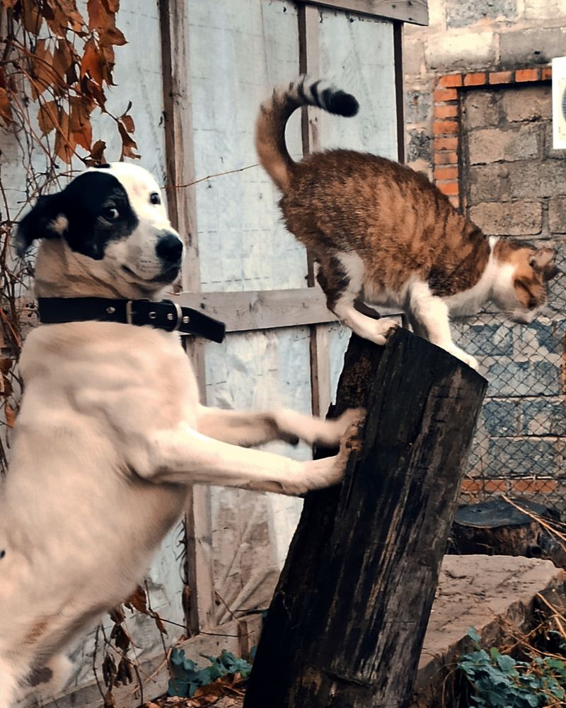 Photograph by Татьяна Долгушева