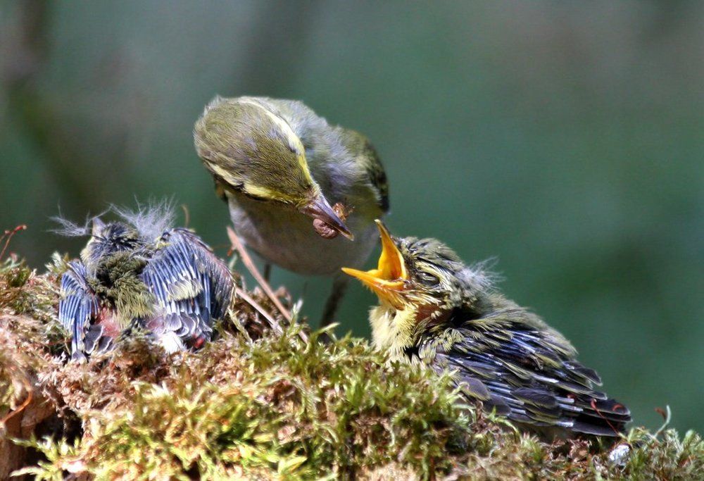 Обед по расписанию