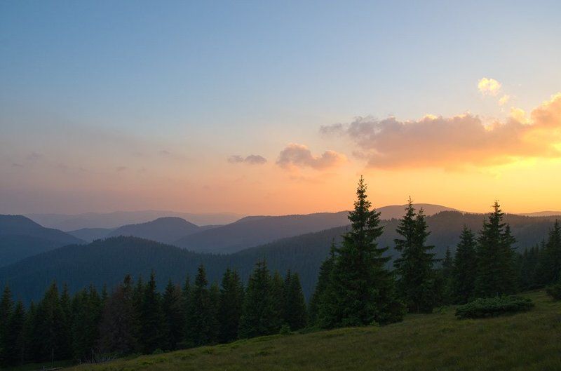 Pysarenko Olha, Ukraine