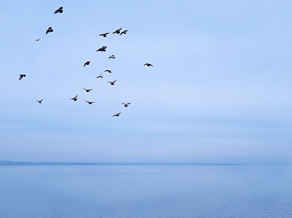 Photograph by Светлана Зубанова