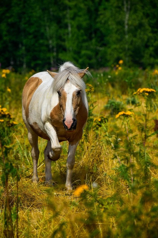 Фотография автора Марина Корреа Ластра