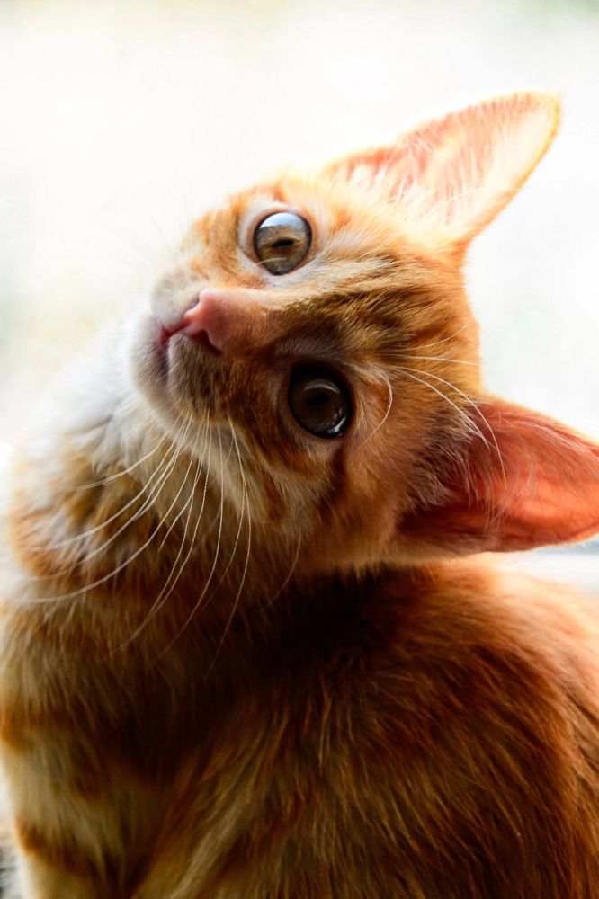 Фотография автора Марина Корреа Ластра