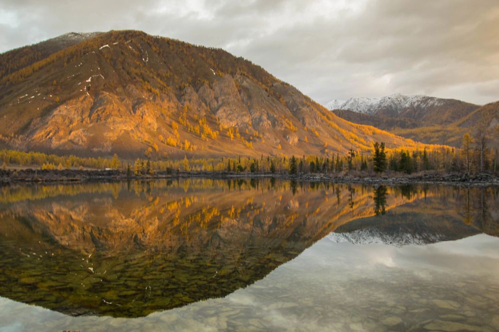 Фотография автора Марина Корреа Ластра