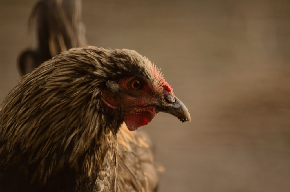 Photograph by Михаил