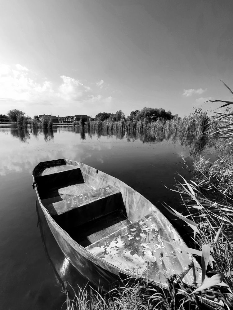 Photograph by Татьяна Долгушева