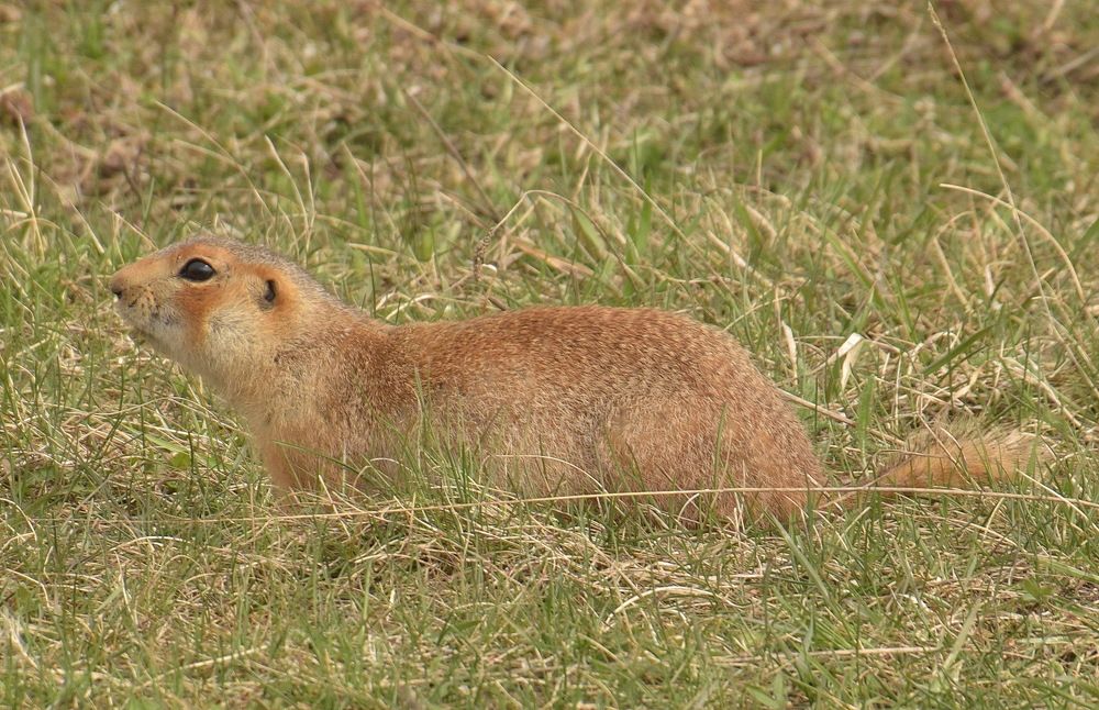 Photograph by Василий Быстрицкий