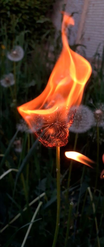 Фотография автора Кристина Присяжная