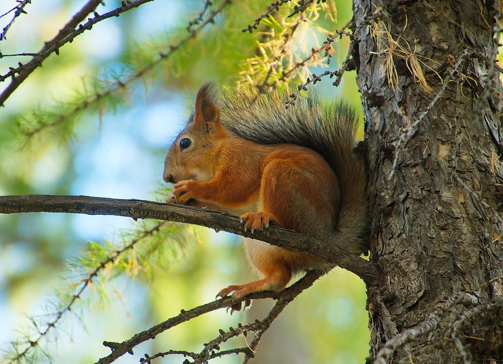 Photograph by Василий Быстрицкий