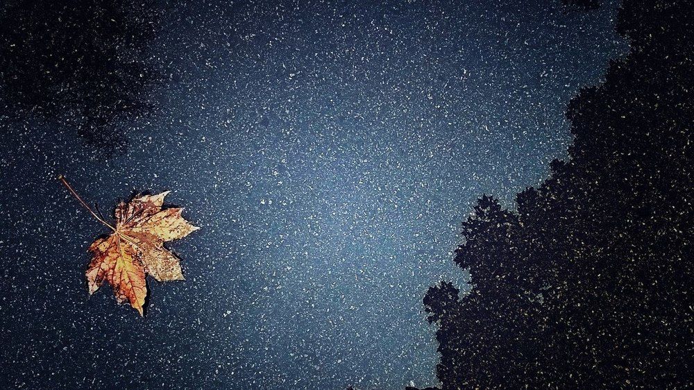 Photograph by Анна