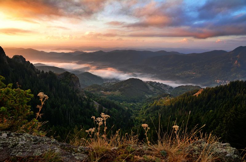 Tanya, Bulgaria