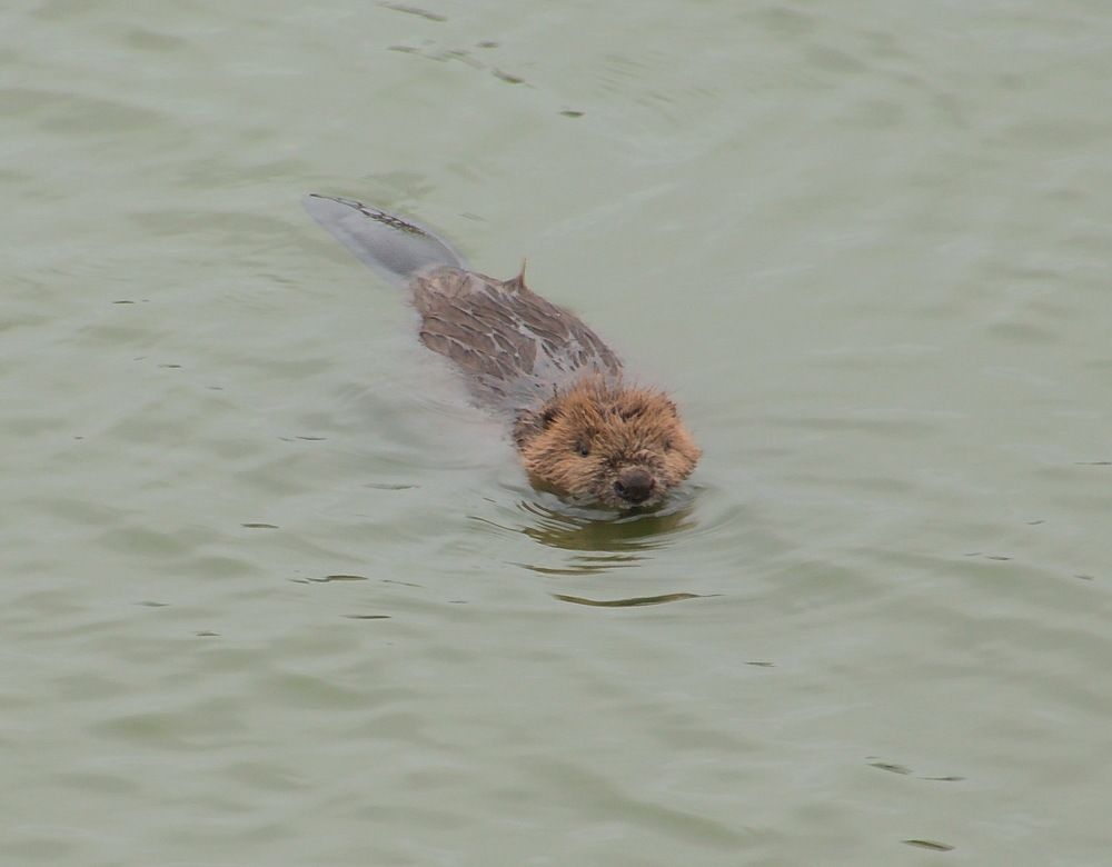 Photograph by Василий Быстрицкий