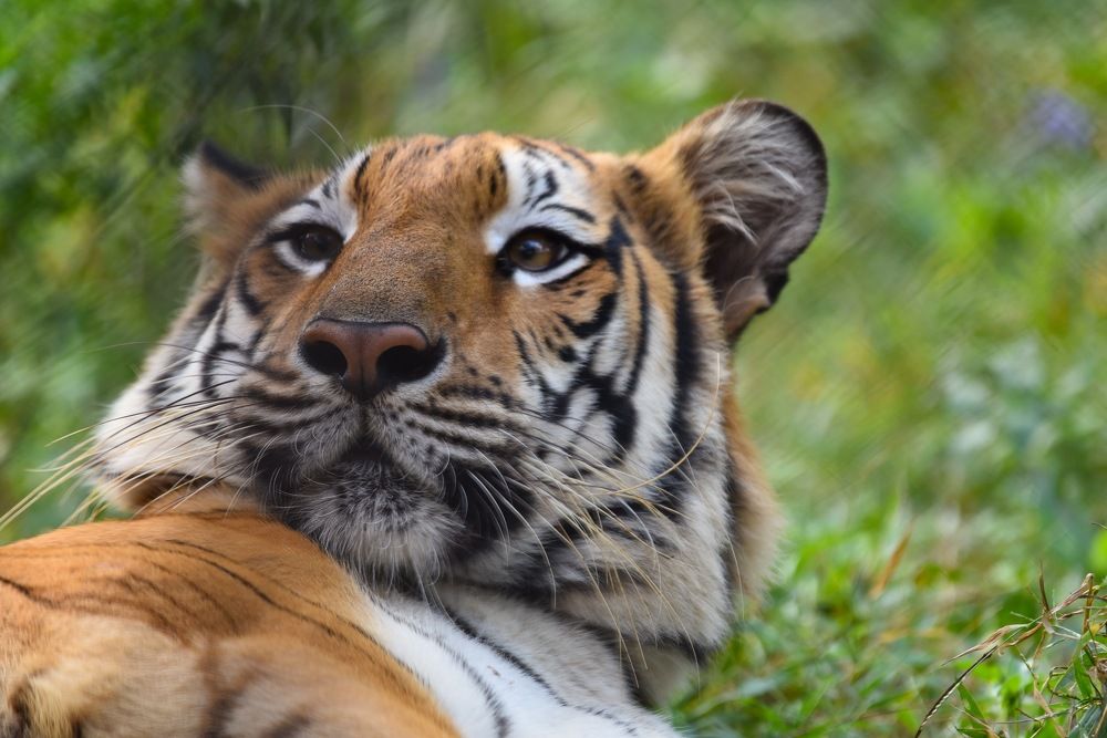 D eyes say it all !!!