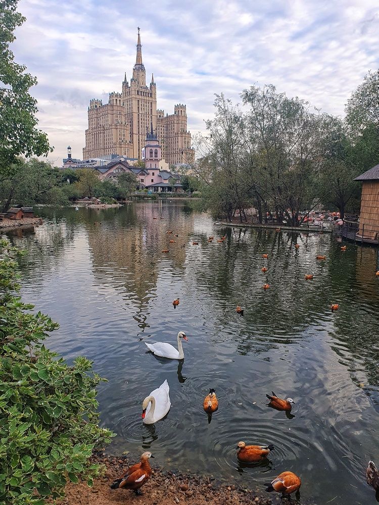 Photograph by Юлия Таран