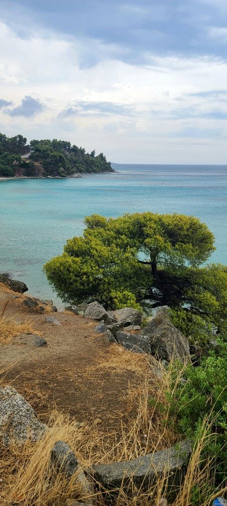 Photograph by Michael Tunkel