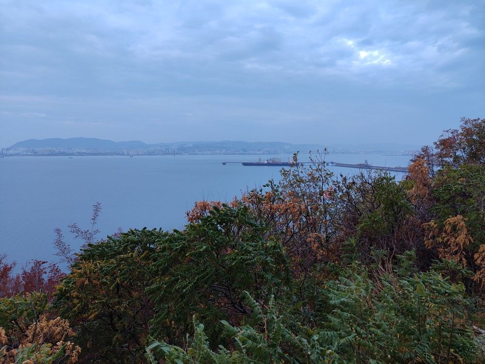 Фотография автора Александр