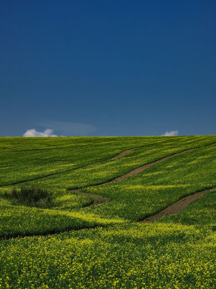 Photograph by Кирилл Васильев
