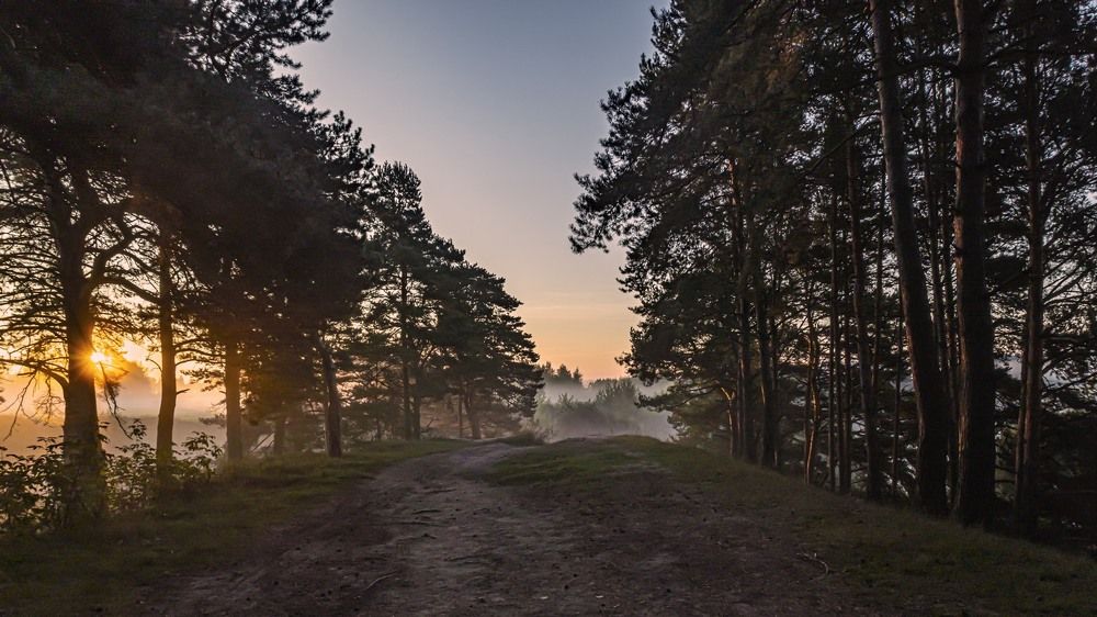 Photograph by Андрей Антонов