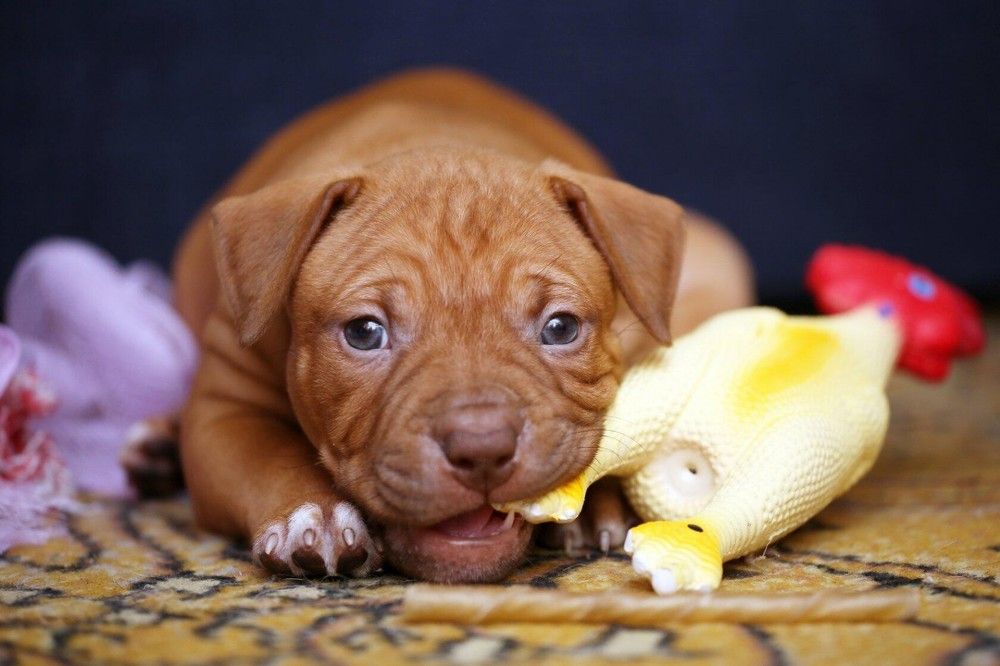 Photograph by Руслан