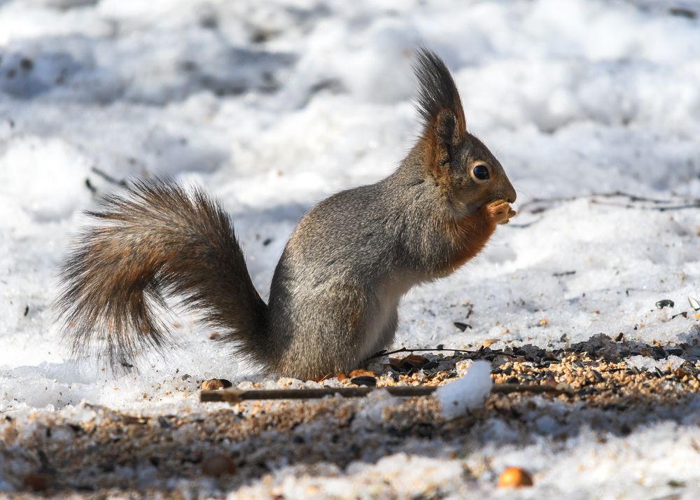 Photograph by Valery Pegushev