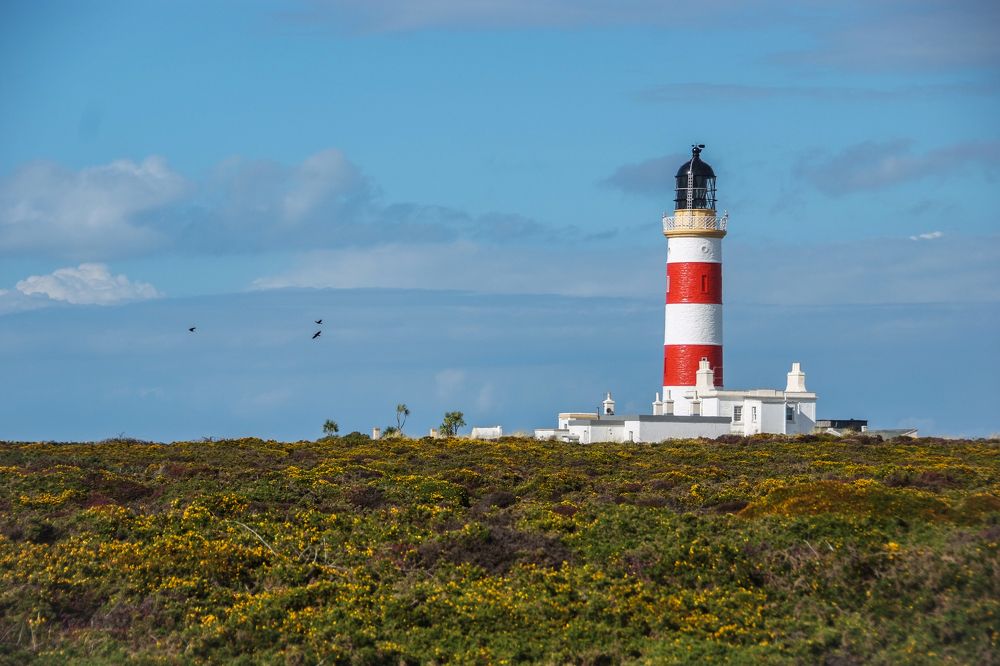 Фотография автора Aleksej Musatov