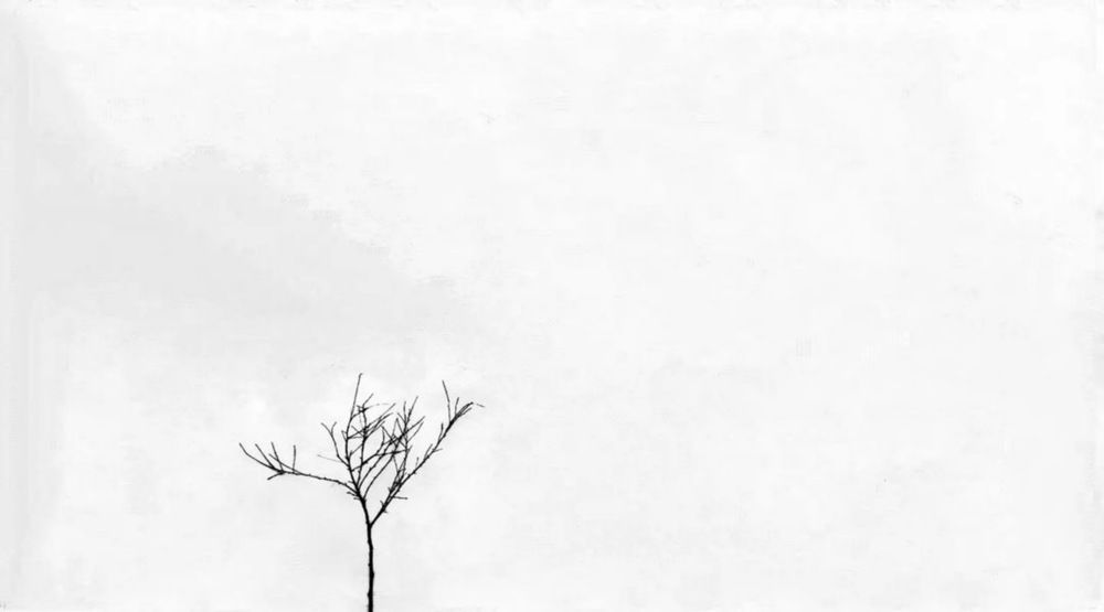 Photograph by Asma Rashidi