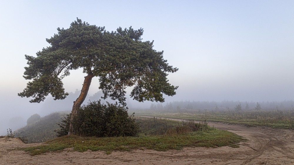 Photograph by Андрей Антонов