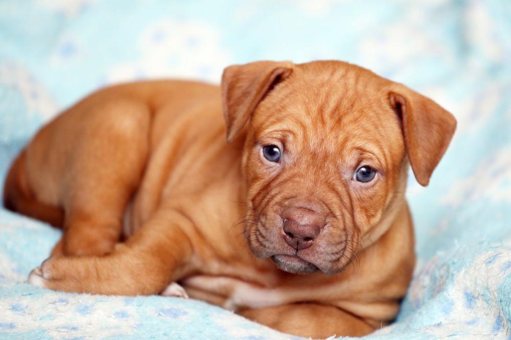 Photograph by Руслан