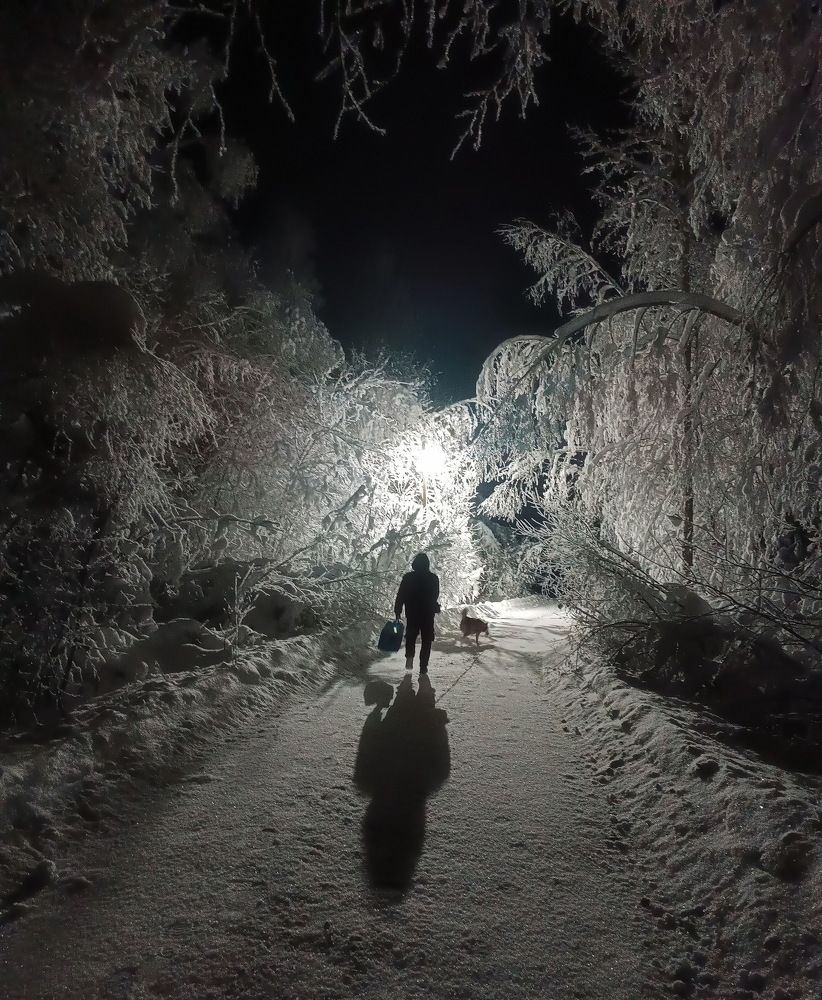 ранним зимним утром