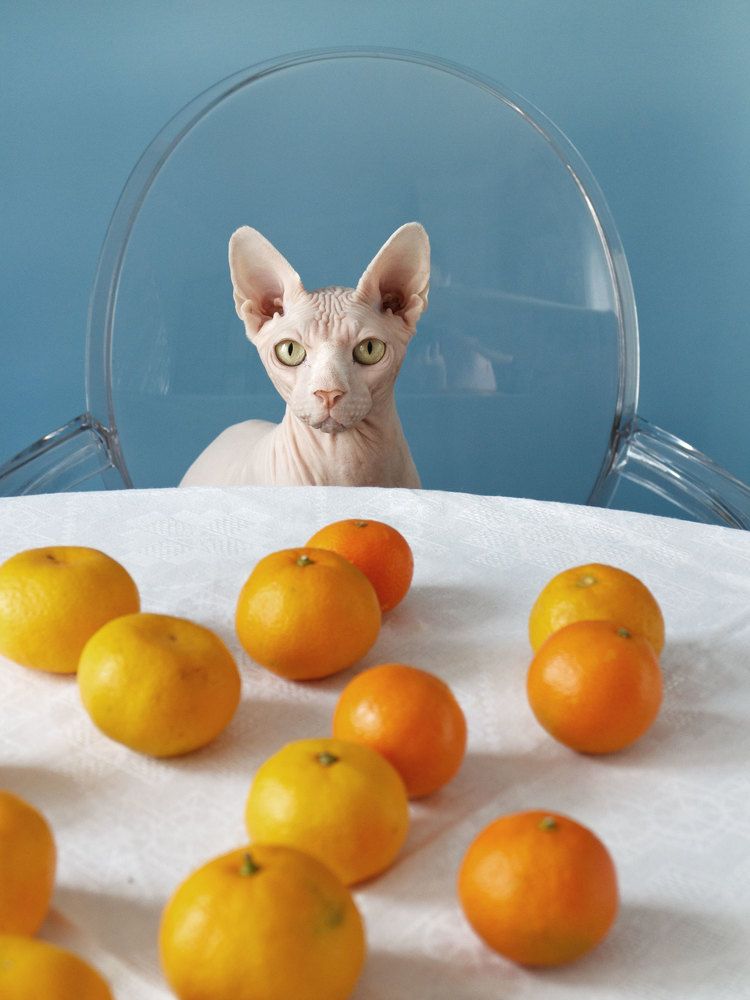 Photograph by Anna Medvedeva