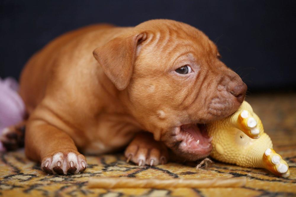 Photograph by Руслан