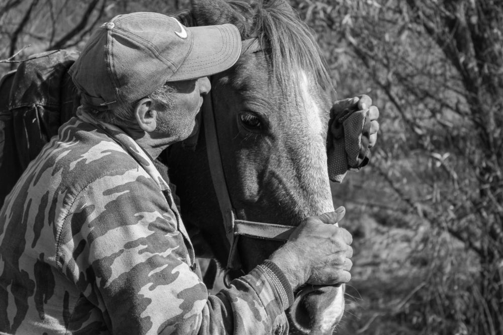 Photograph by Суслов Иван