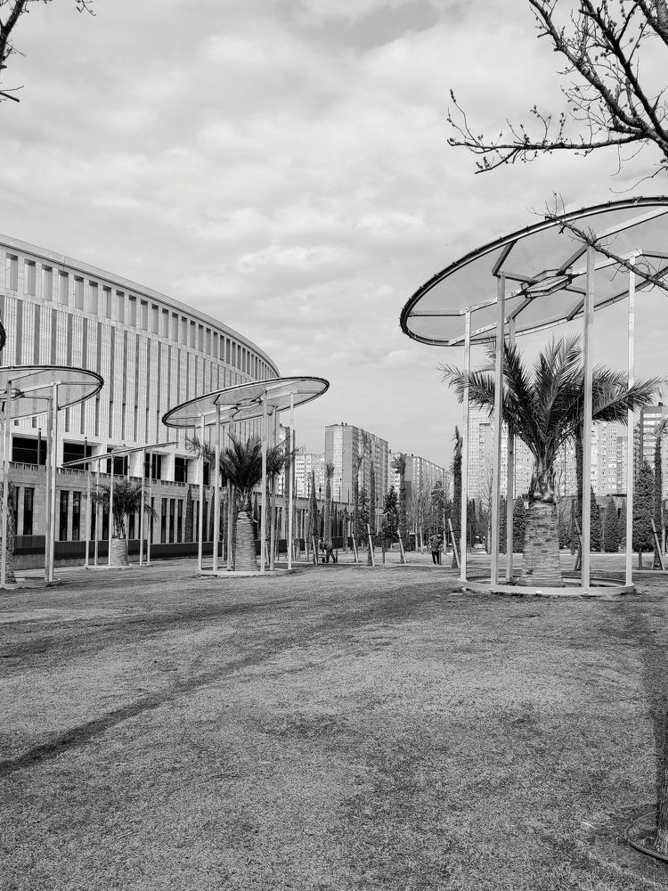 Photograph by Татьяна Долгушева