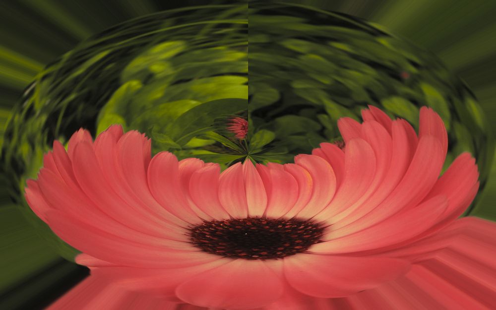 Photograph by Серега Вартман