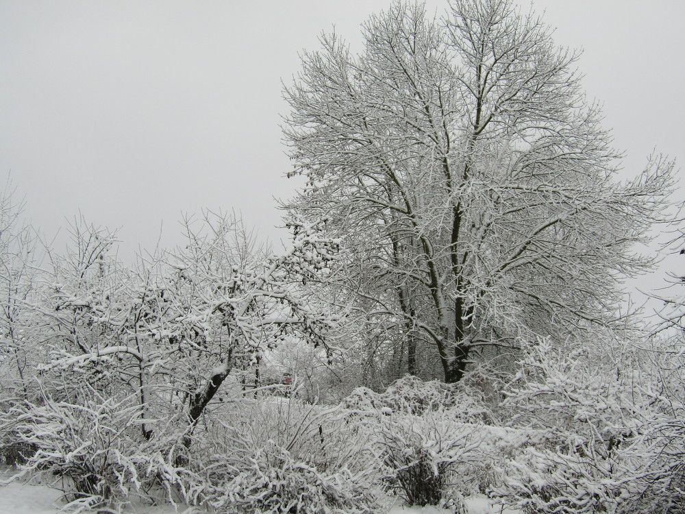 Photograph by Vladimir Kostyuchkov