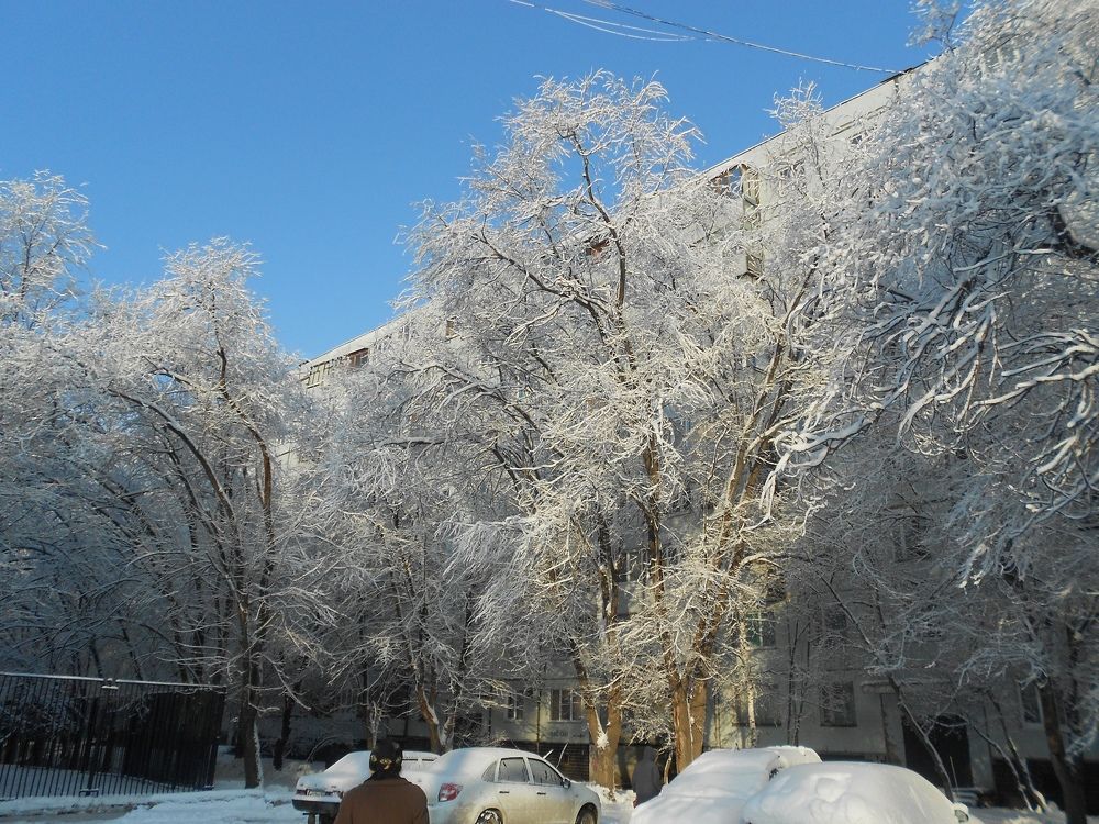 Фотография автора Любовь Панфилова