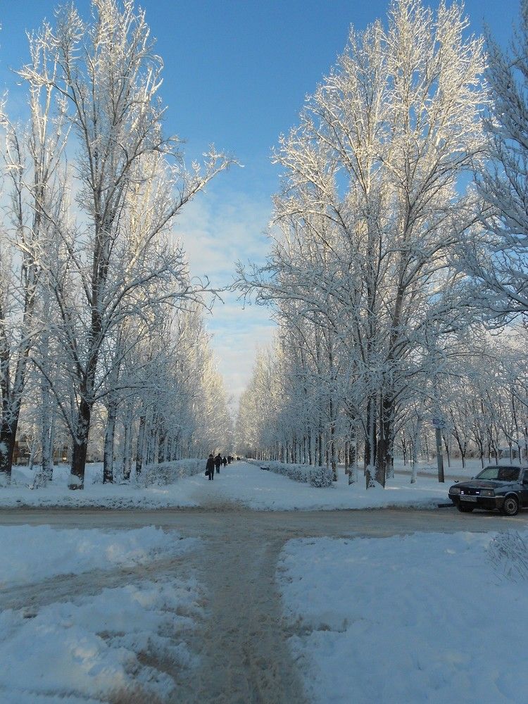 Фотография автора Любовь Панфилова