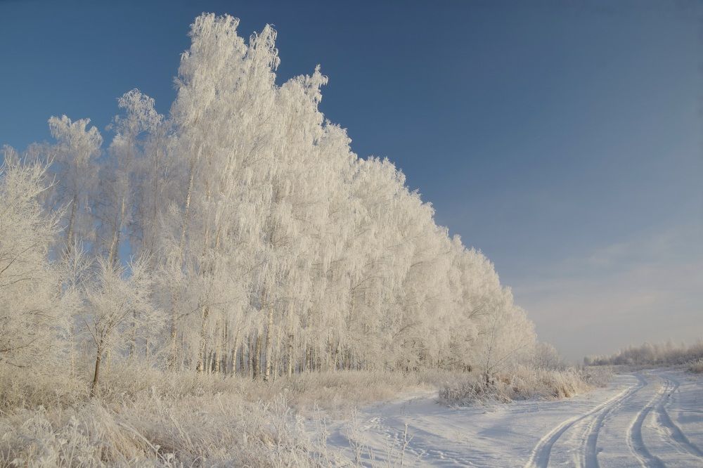 Photograph by Василий Быстрицкий
