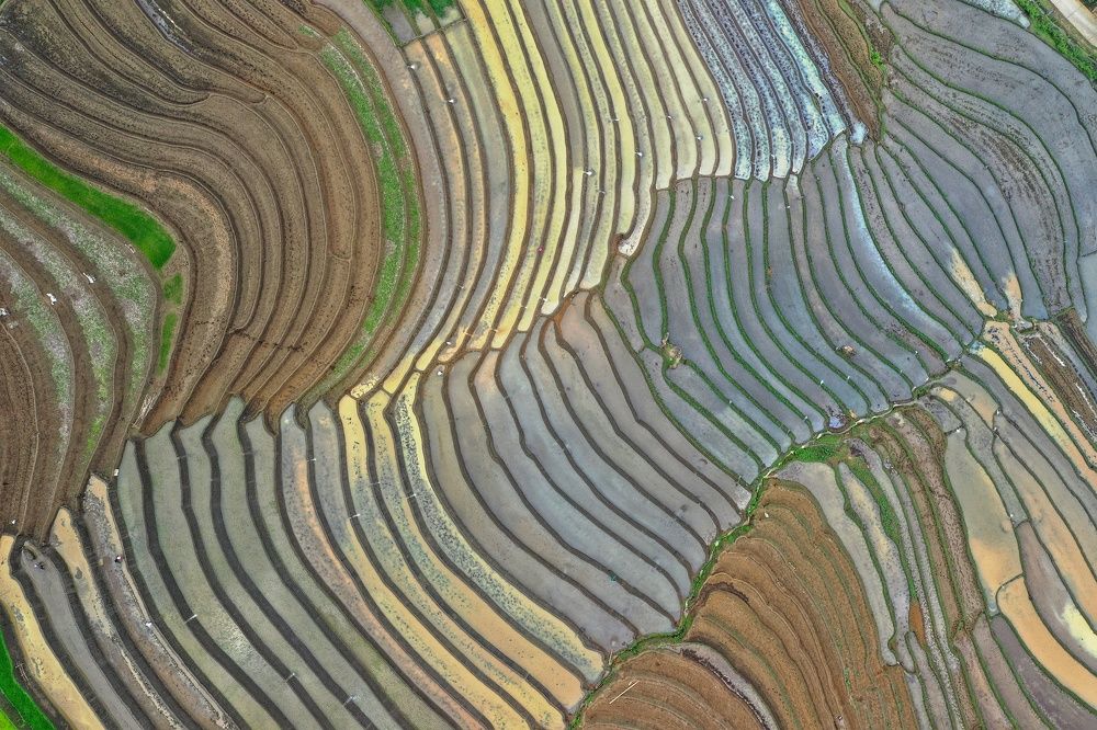 Photograph by Moc An