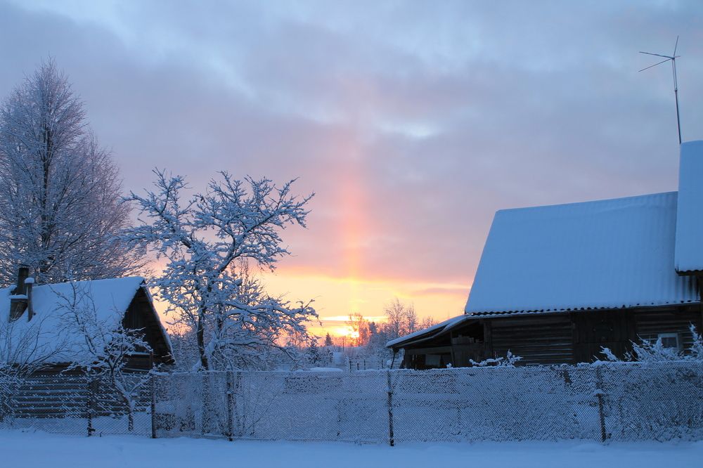 Фотография автора Алла Бойко