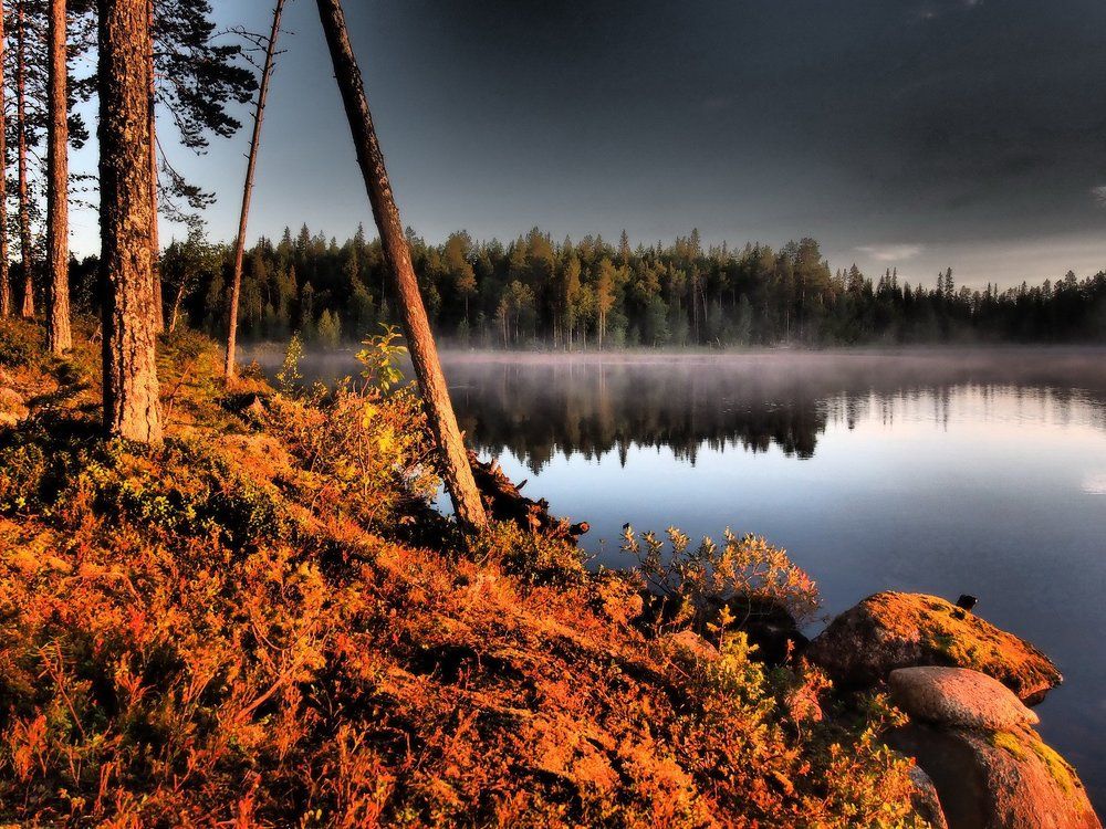 Карельский берег