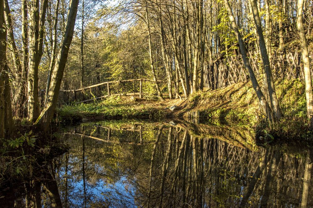 Октябрьский вечерр