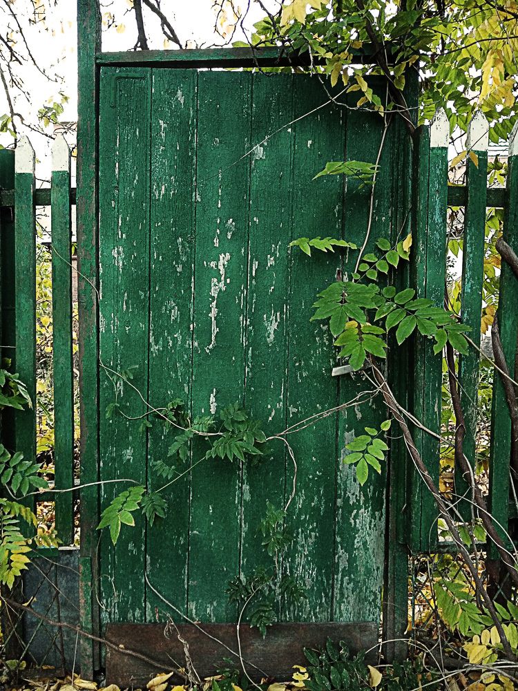 Photograph by Светлана Зубанова