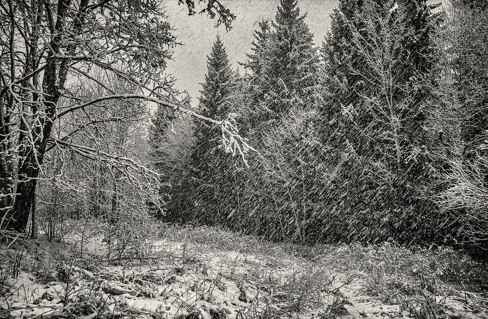 Фотография автора Aleksej Musatov