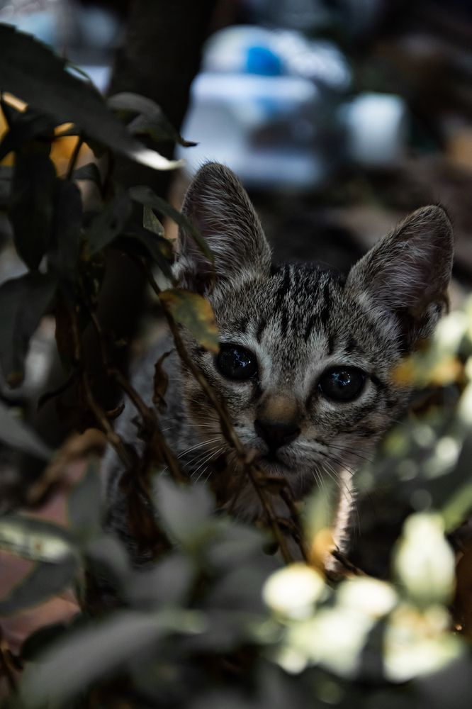 Photograph by Bùi Nguyễn