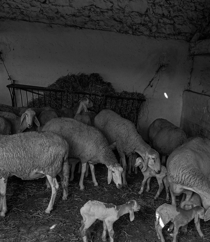 Photograph by Lina Bouraba