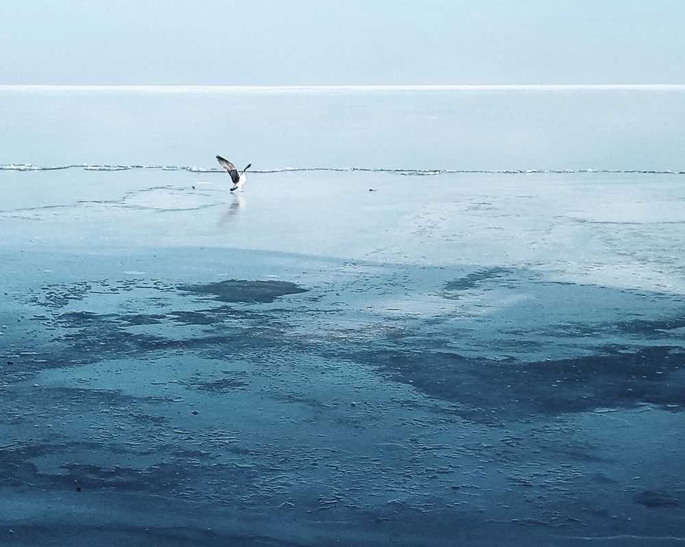 Photograph by Светлана Зубанова